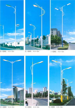 南京照明 盛景华成工程照明 路灯 15